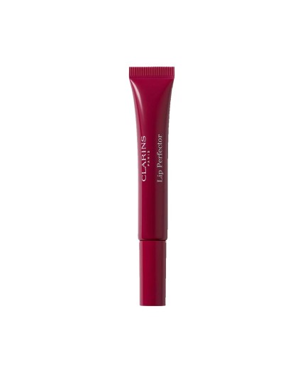LIP PERFECTOR